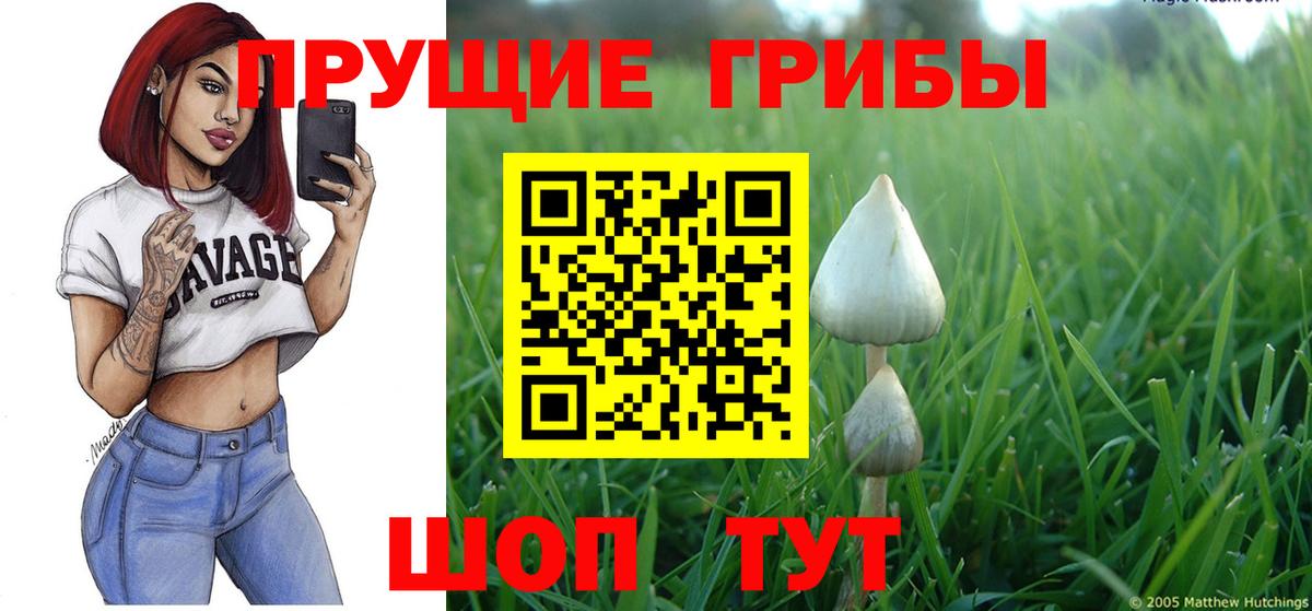 Псилоцибиновые грибы Magic Shrooms Шахты