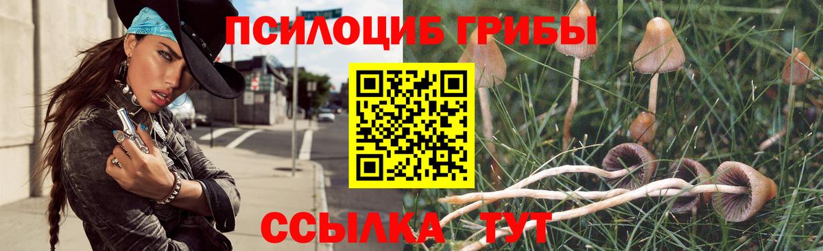 Шахты  Псилоцибиновые грибы MAGIC MUSHROOMS  Вход с VPN 
